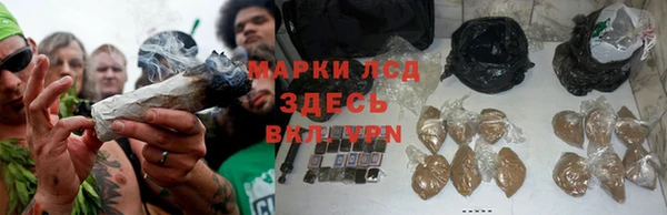 ALPHA PVP Горно-Алтайск