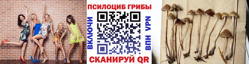 Купить где  Курлово  Галлюциногенные грибы ЛСД 