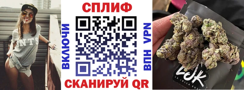 Бошки марихуана MAZAR  Купить где  Курлово 